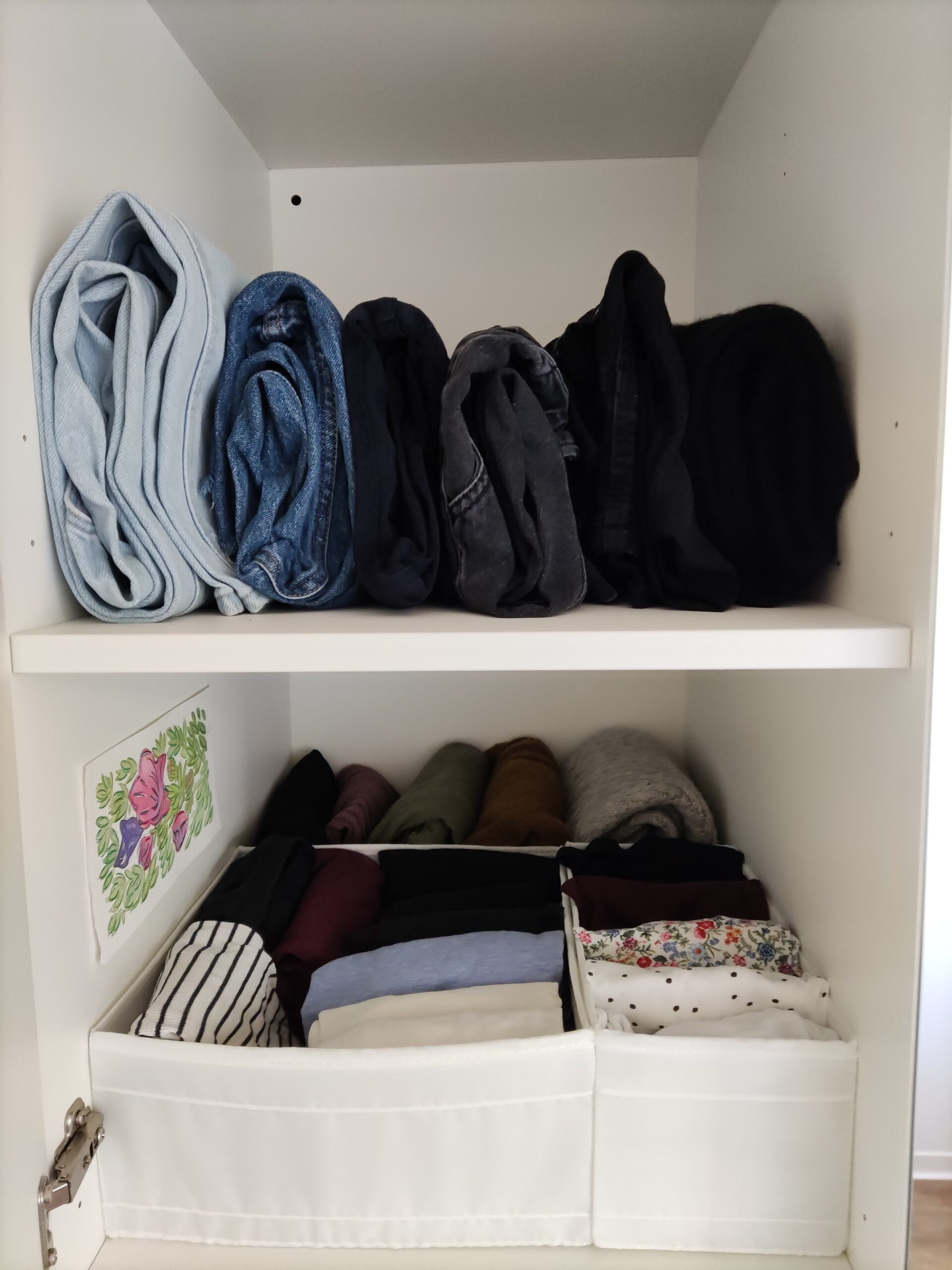 Regale 1 nach der Organisation