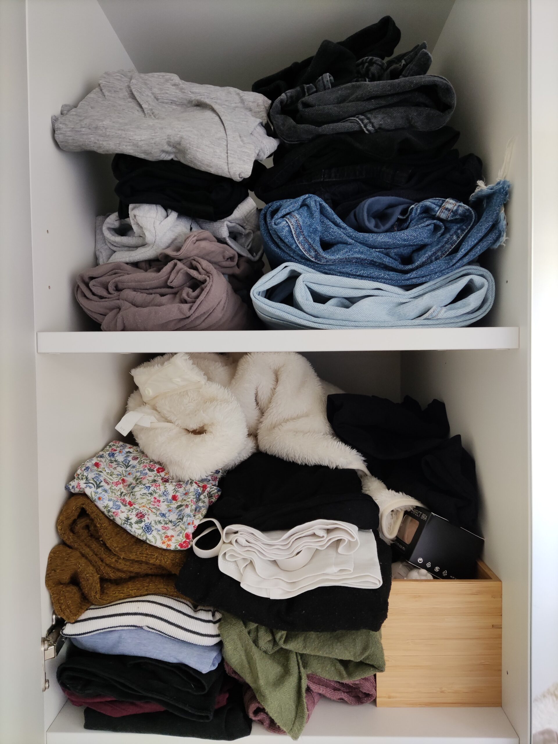 Regale 1 vor der Organisation