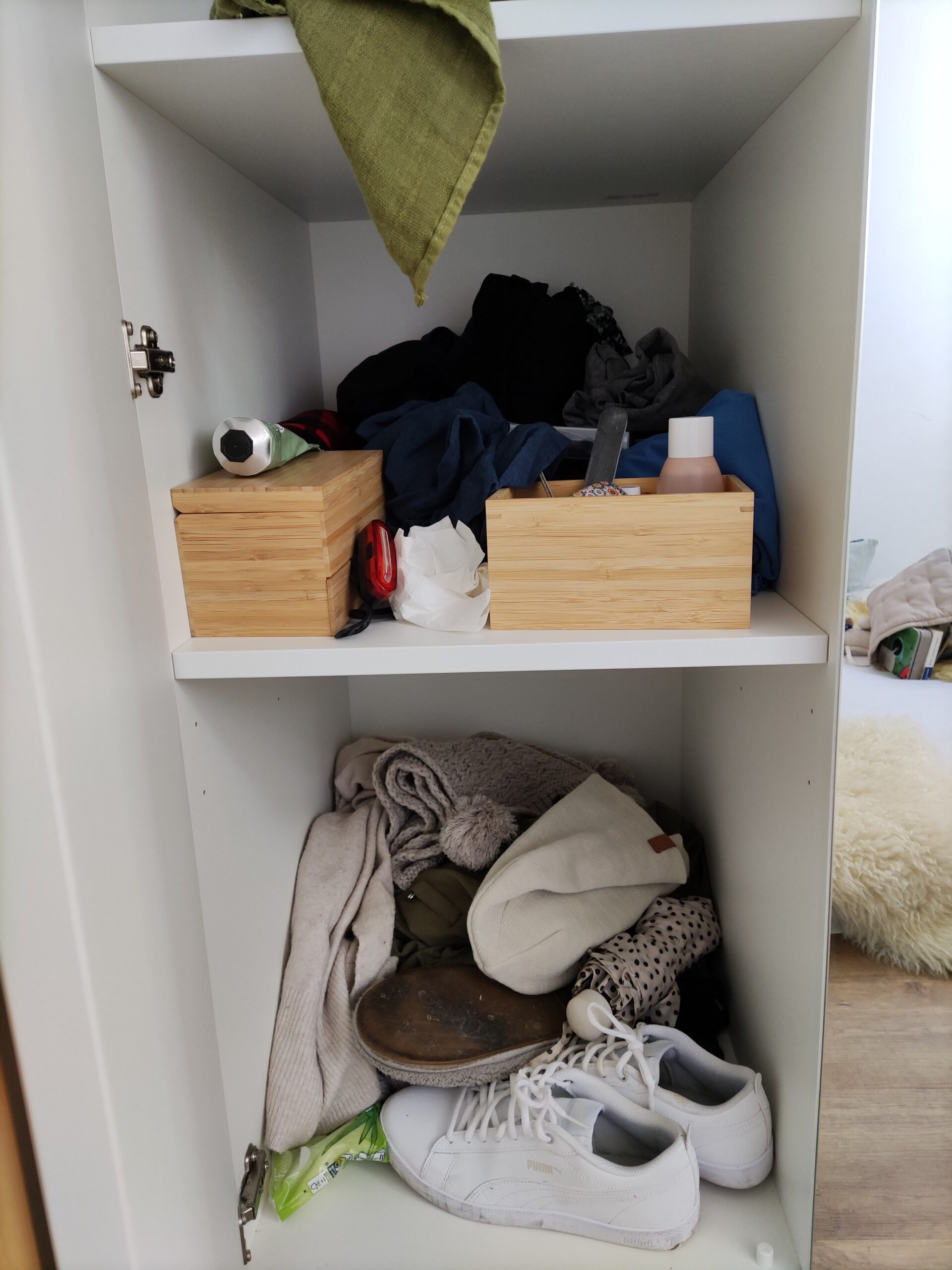 Regale 2 vor der Organisation